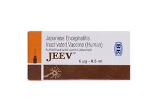 Vắc xin JEEV (Ấn Độ) phòng bệnh viêm não Nhật Bản