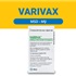 Vắc xin VARIVAX (Mỹ) phòng bệnh thủy đậu